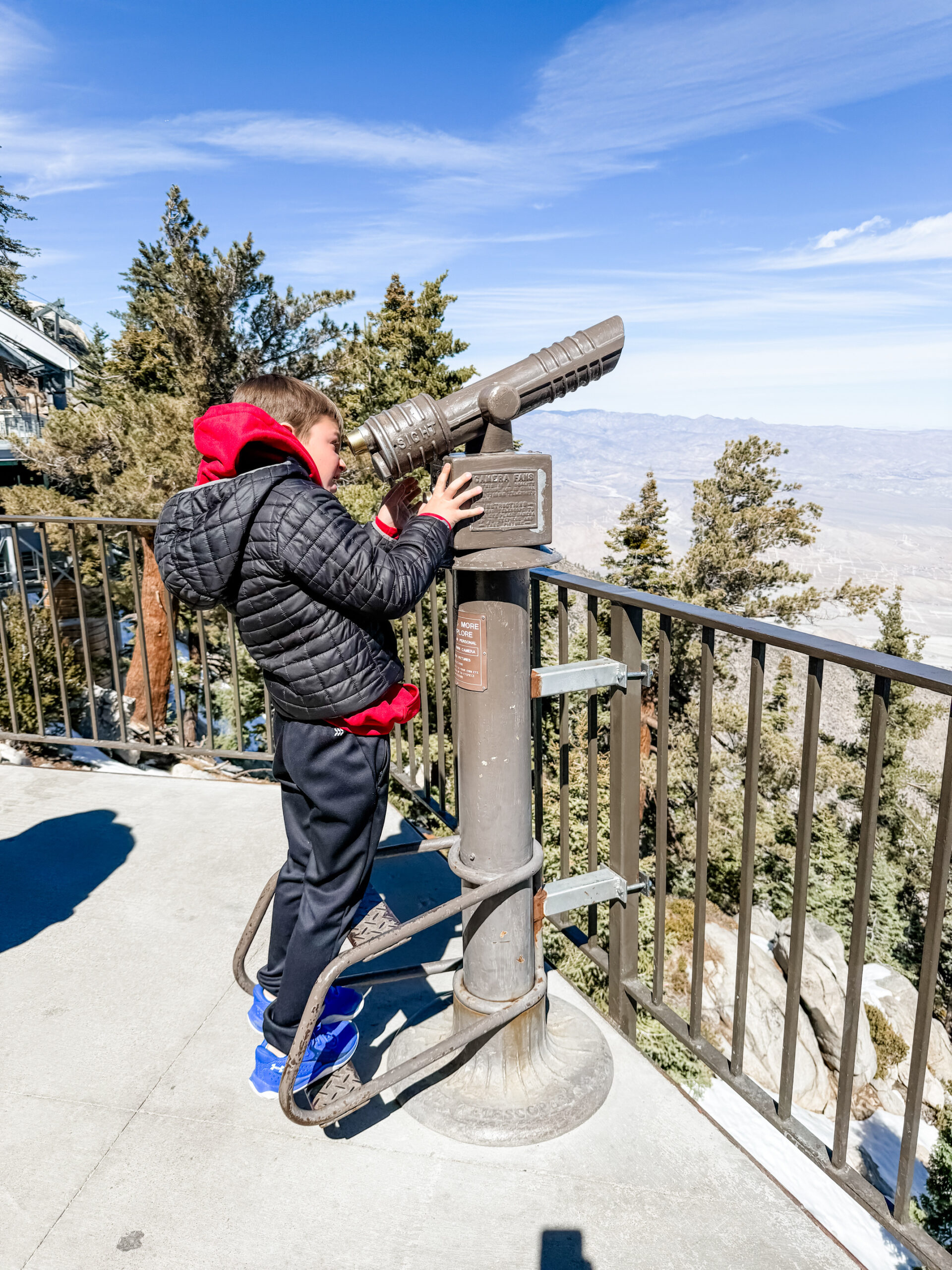Boy looking into Telescope
