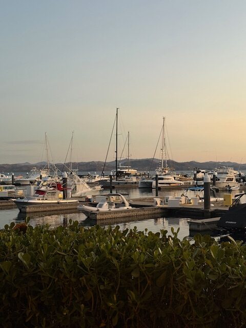 Marina with boats docked